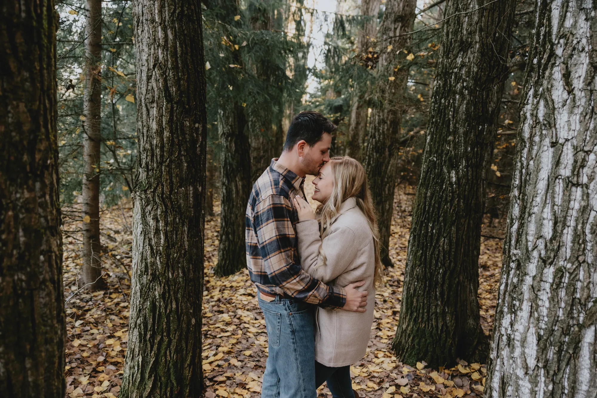 séance de couple à Rimouski dans la paix de la forêt