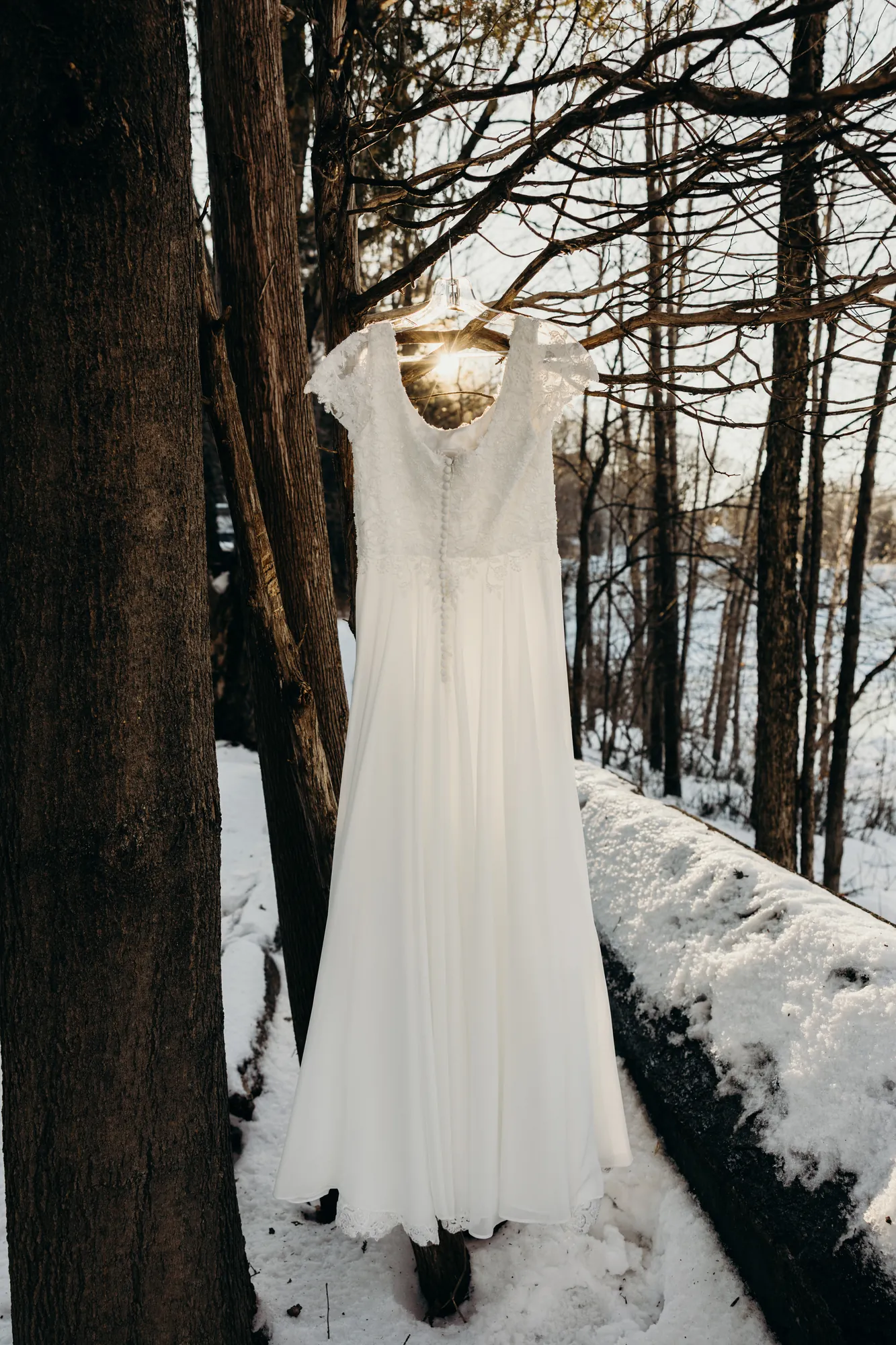 Robe de mariée suspendue à une branche d'arbre dans la forêt enneigée.
