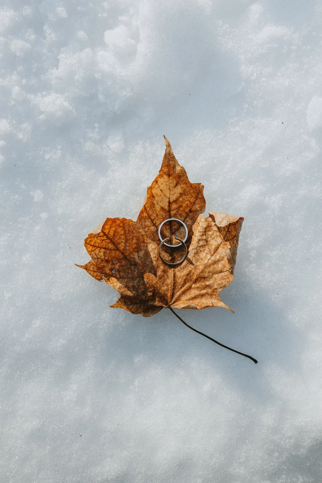 Alliance de mariage posée sur une feuille d'automne brune dans la neige fraîche.