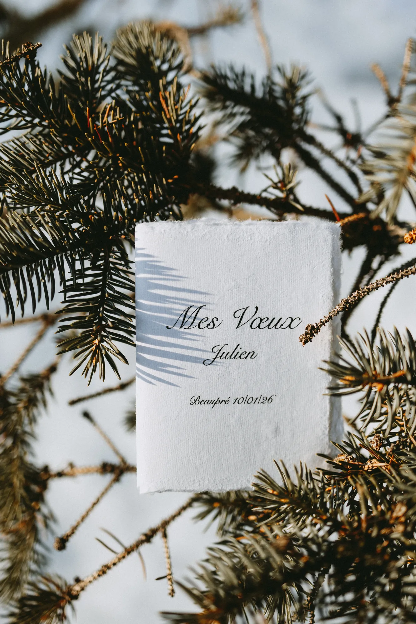 Papeterie de mariage déposée sur des branches de sapin givrées.